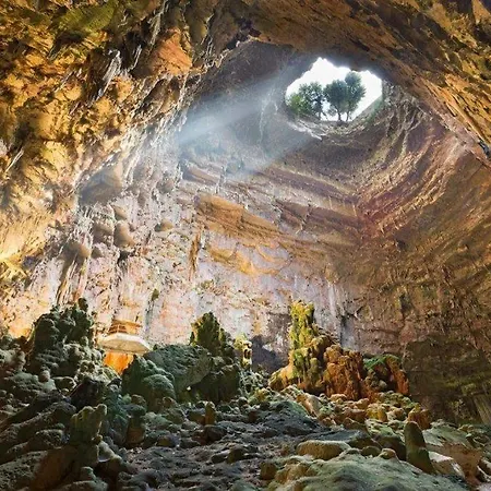 Casa Mariu Πανσιόν